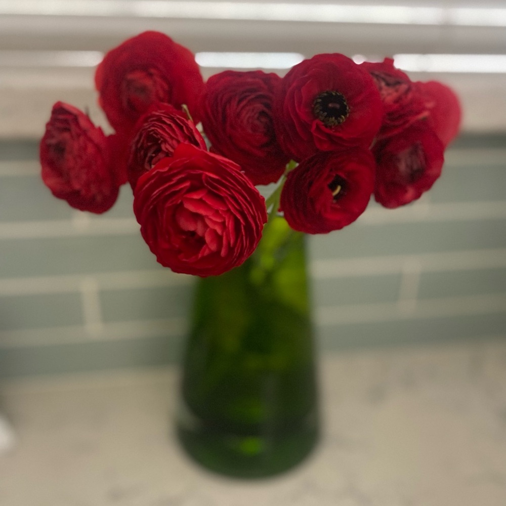 Meet your Posher, Retroani